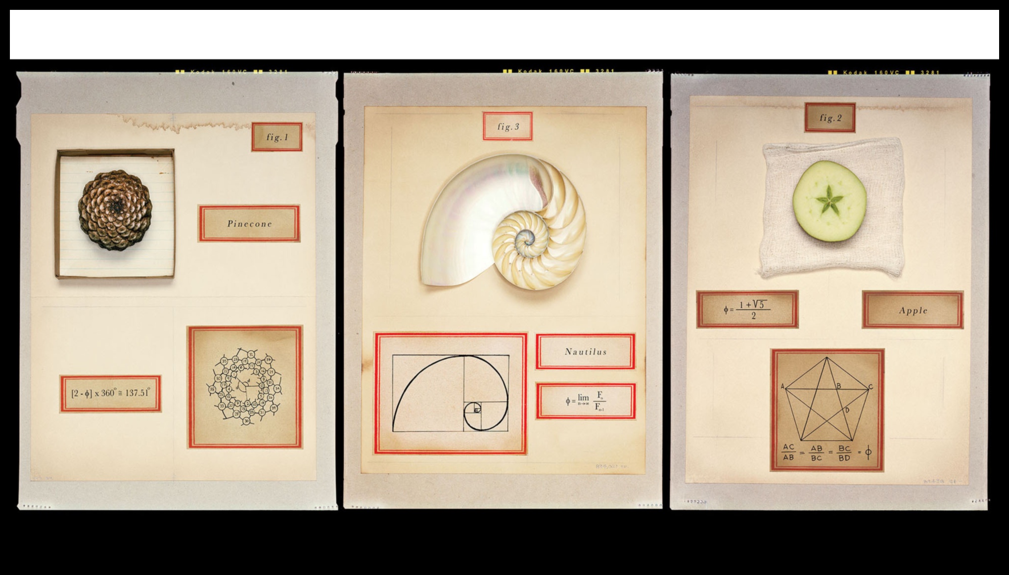 The Intelligence Equation: Balancing Innovation and Reward