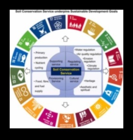 Η διατήρηση του εδάφους κλειδί για την αειφορία του τοπίου 3 Πώς επηρεάζουν οι διαφορετικές μέθοδοι διατήρησης του εδάφους τη βιωσιμότητα των τοπίων;