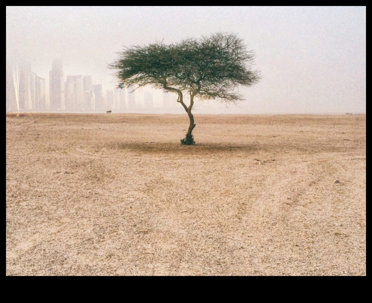 Η διατήρηση του εδάφους κλειδί για την αειφορία του τοπίου 2 Πώς επηρεάζουν οι διαφορετικές μέθοδοι διατήρησης του εδάφους τη βιωσιμότητα των τοπίων;