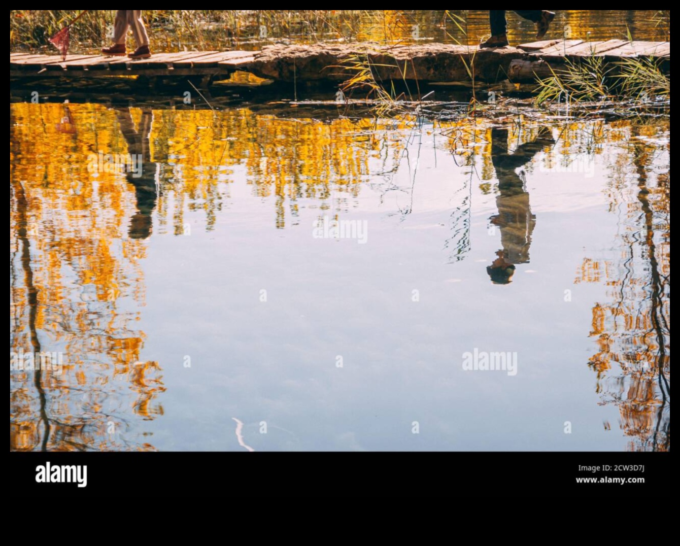 Στοχασμοί ΙΙ: Λίμνες και λίμνες σε διαφορετικές διαθέσεις