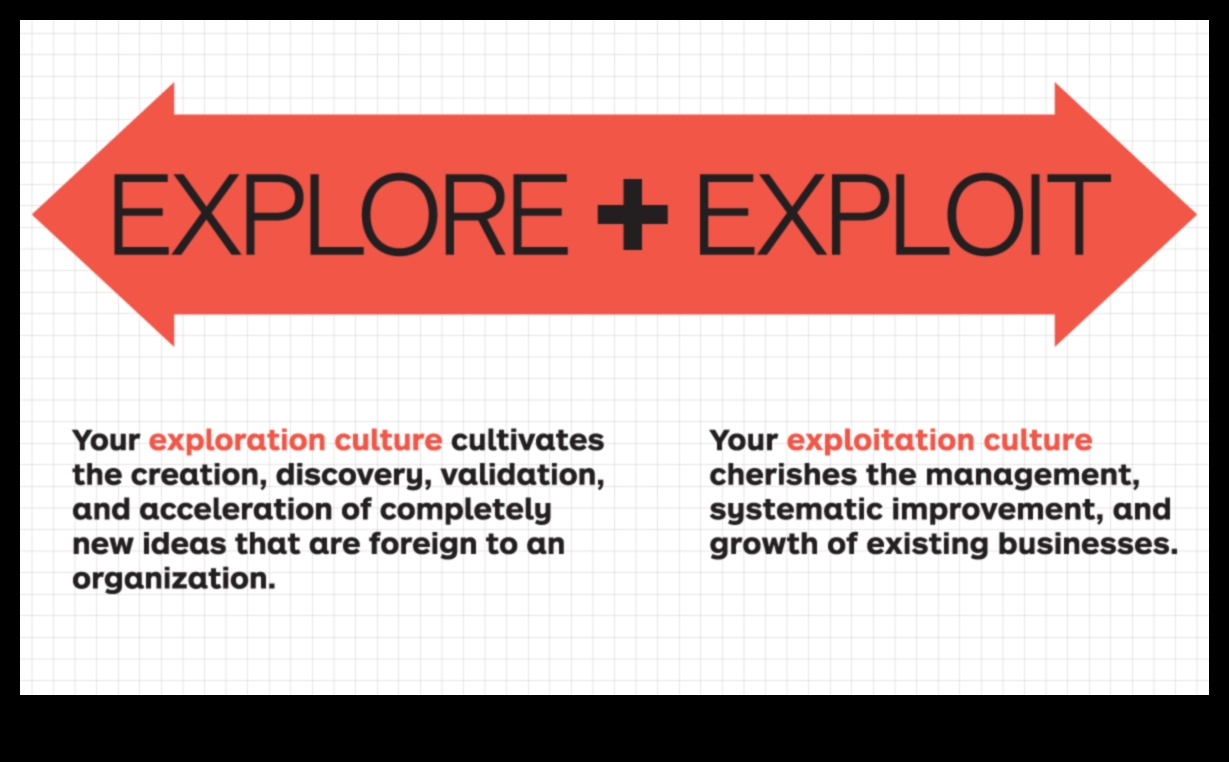 Navigating Innovation: The Business Strategy's Guide's Explorer