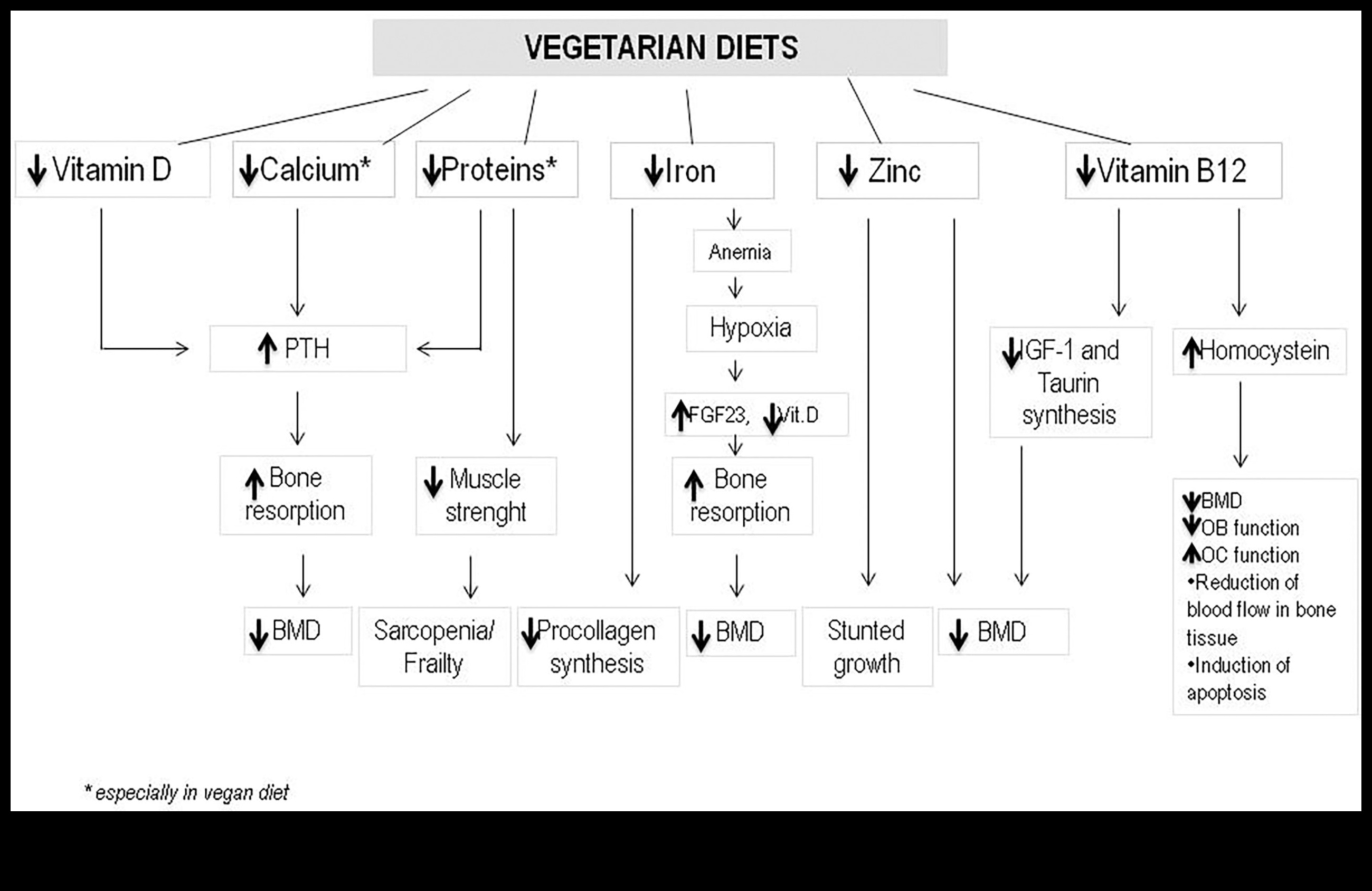 Χορτοφαγία και υγεία των οστών: Τι πρέπει να γνωρίζετε