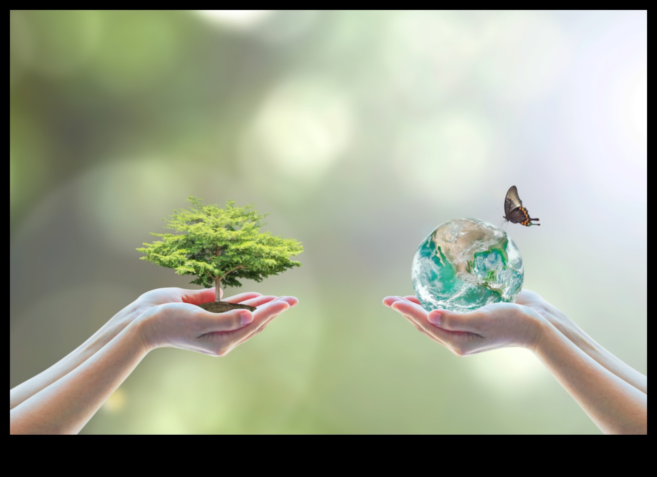 Περιοχές Διατήρησης Βιοποικιλότητας: Προστασία της Ποικιλίας της Ζωής