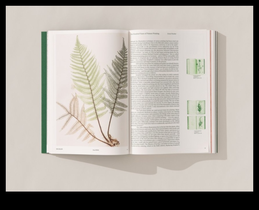 Η τέχνη της σύλληψης της φύσης 2 Στην αγκαλιά της φύσης: Μαγευτικές λήψεις τοπίου