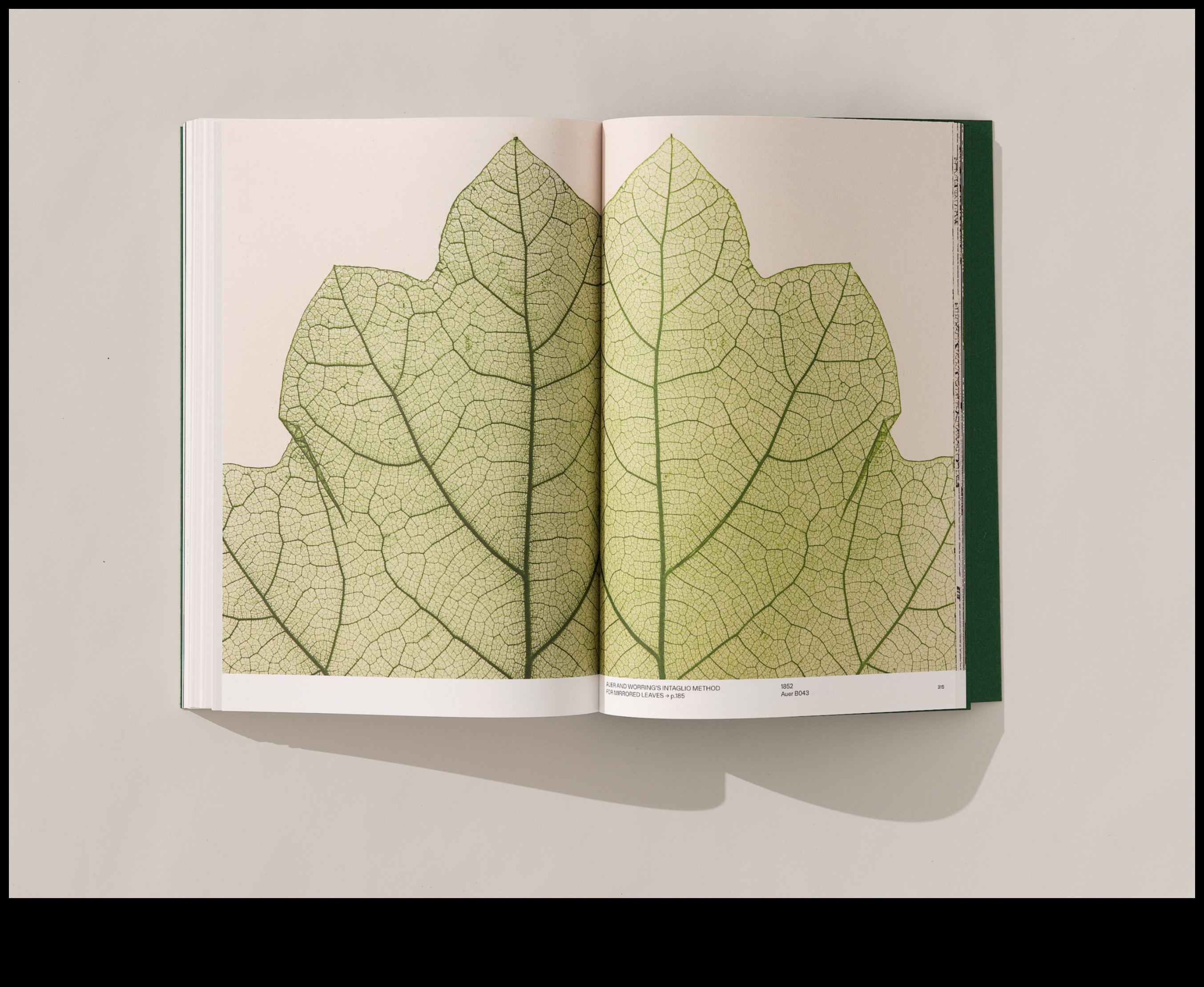 Η τέχνη της σύλληψης της φύσης 3 Στην αγκαλιά της φύσης: Μαγευτικές λήψεις τοπίου