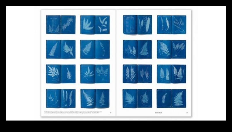 Η τέχνη της σύλληψης της φύσης 5 Στην αγκαλιά της φύσης: Μαγευτικές λήψεις τοπίου