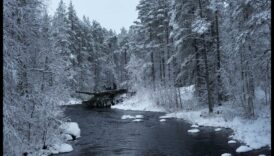 Frozen Beauty: Ice and Snow in Arctic Landscapes