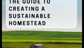 Harvest Harmony II: Continuing the Celebration of Farmland Beauty