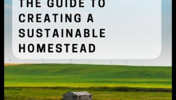 Harvest Harmony II: Continuing the Celebration of Farmland Beauty