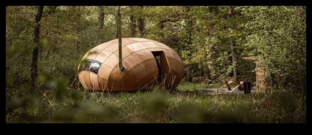 Nature's Guardians: Προστατευόμενες φυσικές περιοχές που εξερευνήθηκαν