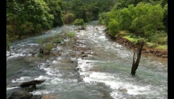 Τι ρόλο παίζει το νερό στη διαμόρφωση των παραποτάμιων τοπίων;