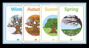 Τι ρόλο παίζουν οι εποχές στη διαμόρφωση των τοπίων;