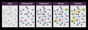 Strategies for Sustainable Insight: Business Wisdom in Data Analytics