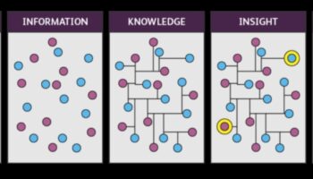 Strategies for Sustainable Insight: Business Wisdom in Data Analytics