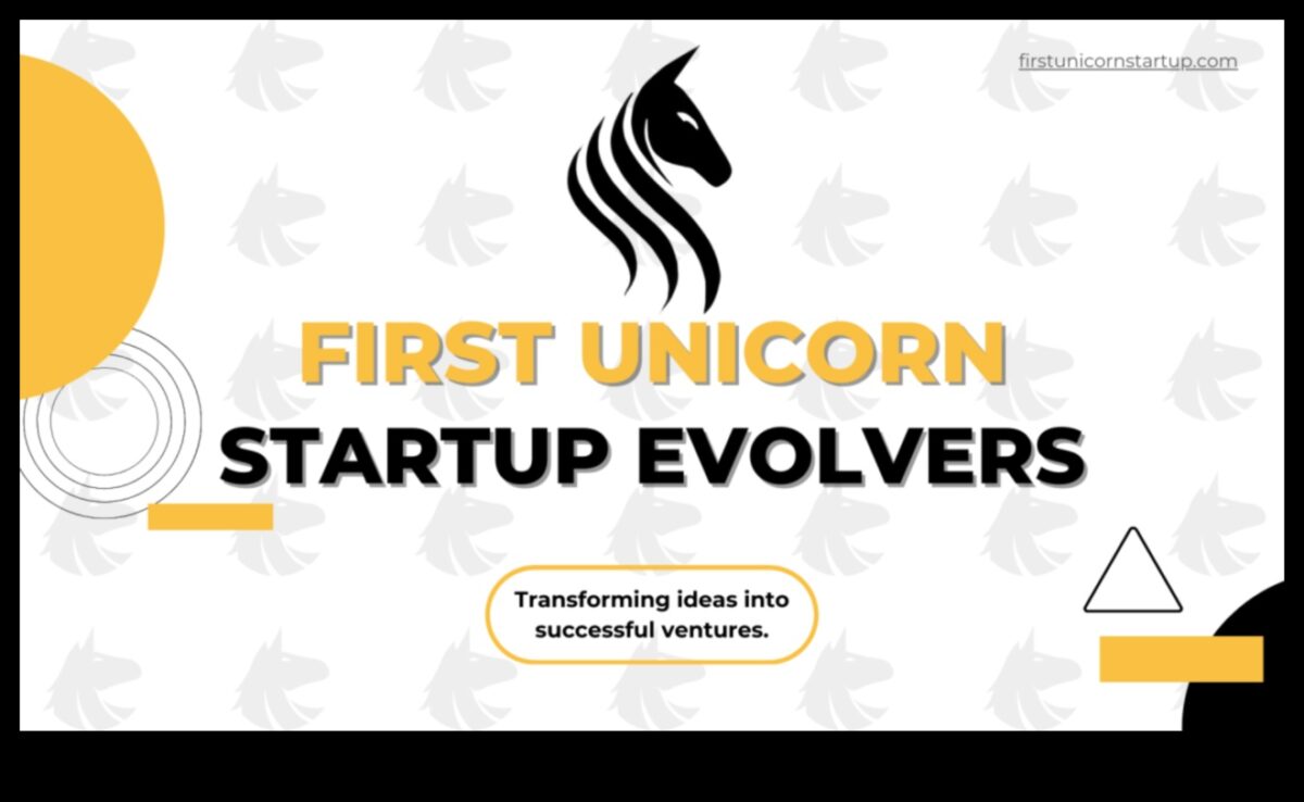 Beyond Garage Beginnings: The Evolution of Startups