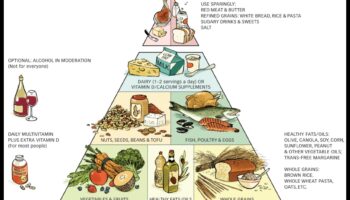 Δημιουργώντας ένα πιο υγιές μέλλον: Η δύναμη της δίαιτας του τρόπου ζωής