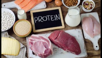 Δίαιτες με υψηλή περιεκτικότητα σε πρωτεΐνες και ορμονική ισορροπία: Μια ολοκληρωμένη άποψη