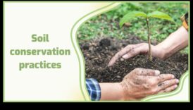 Η διαμονή του εδάφους κλειδί για την αειφορία του τοπίου 4 Πώς επηρεάζουν οι διαφορετικές μέθοδοι διατήρησης του εδάφους τη βιωσιμότητα των τοπίων;