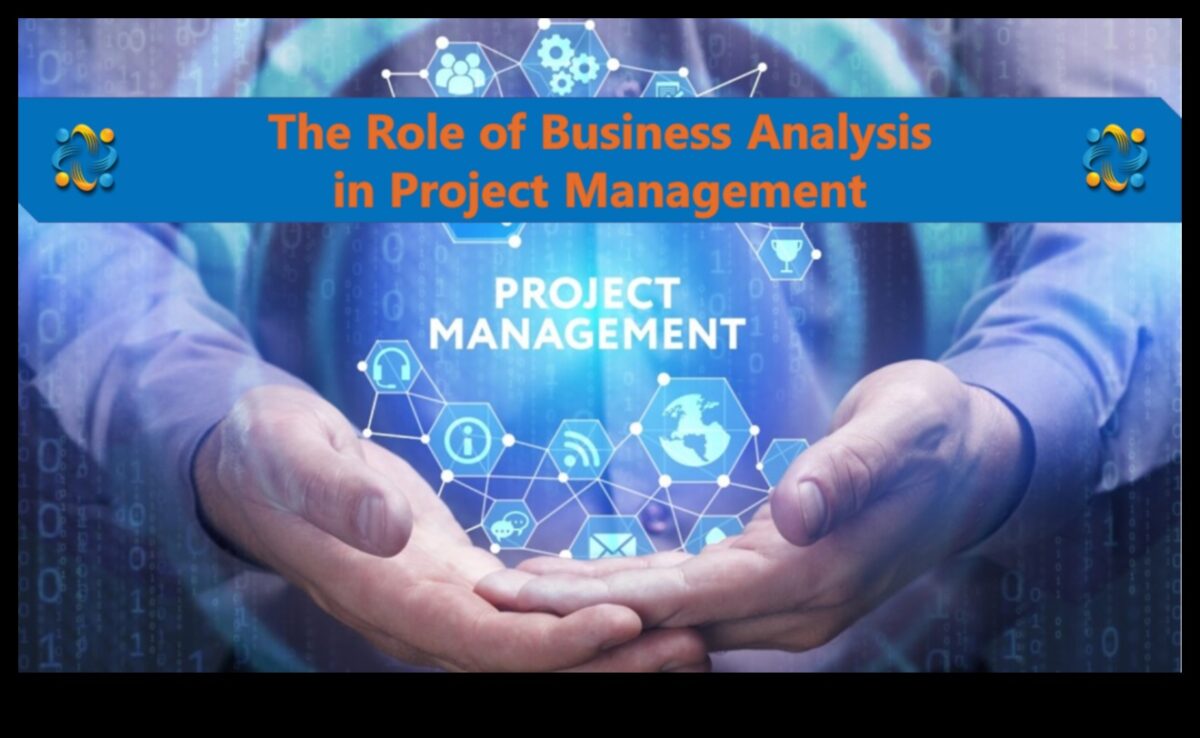 The Business Analysis Engine: Propelling Success with Vision