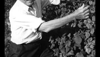 Ο βιγκανισμός και η σημασία των ολόκληρων τροφών