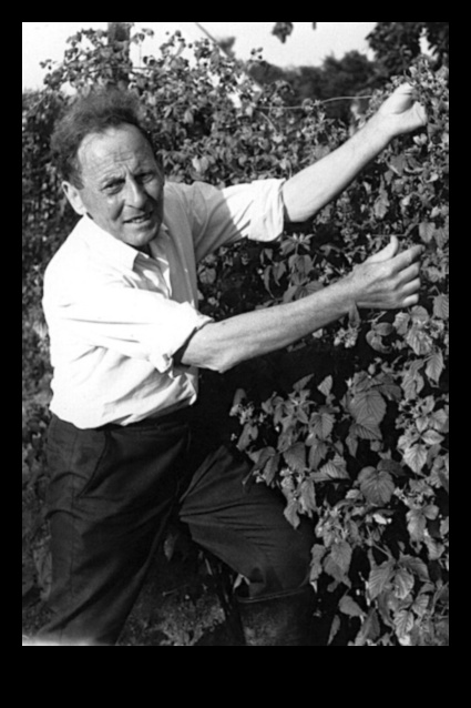 Ολόκληρη η ιστορία του βιγκανισμού 1 Ο βιγκανισμός και η σημασία των ολόκληρων τροφών