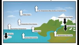 Αντοχή στο κλίμα: Πώς τα τοπία ανταποκρίνονται στις παγκόσμιες αλλαγές