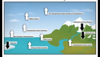 Αντοχή στο κλίμα: Πώς τα τοπία ανταποκρίνονται στις παγκόσμιες αλλαγές