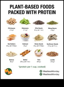Vegan Protein Beyond Tofu: Exploring Diverse Sources