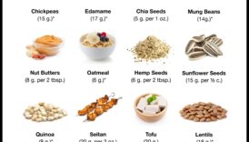 Vegan Protein Beyond Tofu: Exploring Diverse Sources