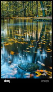 Στοχασμοί ΙΙ: Λίμνες και λίμνες σε διαφορετικές διαθέσεις