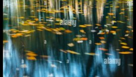 Στοχασμοί ΙΙ: Λίμνες και λίμνες σε διαφορετικές διαθέσεις