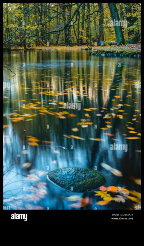 Στοχασμοί ΙΙ: Λίμνες και λίμνες σε διαφορετικές διαθέσεις