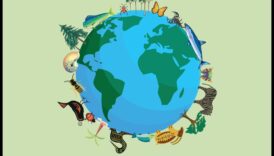 Περιοχές Διατήρησης Βιοποικιλότητας: Προστασία της Ποικιλίας της Ζωής