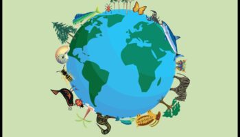 Περιοχές Διατήρησης Βιοποικιλότητας: Προστασία της Ποικιλίας της Ζωής