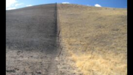 Γιατί ορισμένα τοπία είναι πιο επιρρεπή στην υπερβόσκηση;