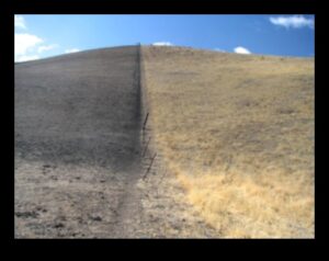 Γιατί ορισμένα τοπία είναι πιο επιρρεπή στην υπερβόσκηση;