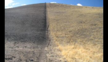 Γιατί ορισμένα τοπία είναι πιο επιρρεπή στην υπερβόσκηση;