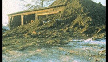 Sculpting Nature: Land Art ως έκφραση δημιουργικότητας